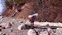 Fishnet pantyhose clings to big ass on mature babe in nature setting. She spreads legs for fetish play.