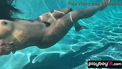 naked ebony milf ana foxxx fingers her hairy black pussy under the water