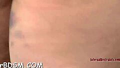 asian teen 18+ lulu chu overhears milf slimthick vic in hardcore 3some sex with roommate seth gamble and big cock