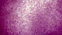 ebony babe plays with her pussy during football game 😈