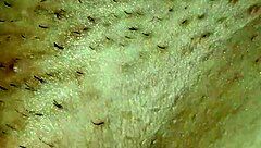 fucking my wife hard and deep