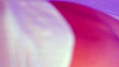 Stella Cardo enjoys big dildo and shows wetness