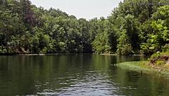 डॉनाबेला मोर्टेल फ्रेशवॉटर के पास सेक्सी बिकिनी में पोज करती है