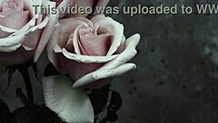 Mcr - I Dont Love You Sub Espa�ol