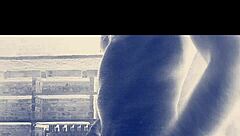 बिग इंडियन कॉक एक्शन के लिए तैयार?