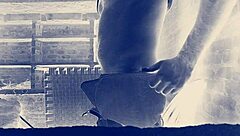 बिग इंडियन कॉक एक्शन के लिए तैयार?