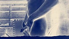 बिग इंडियन कॉक एक्शन के लिए तैयार?