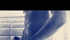 बिग इंडियन कॉक एक्शन के लिए तैयार?