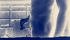 बिग इंडियन कॉक एक्शन के लिए तैयार?