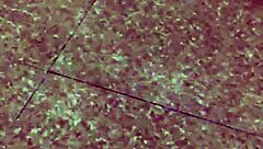 husband pulls down wife's pants part one