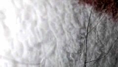 latina college girl enjoys hanging out with guys