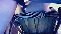 texas couple in high chair with shaved areas