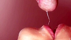 Japanese stepdaughter blowjob in close-up