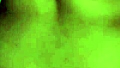 Dominican BBW TAKES IT HARD in all fours anal pounding. Amateur homemade video captures every scream.