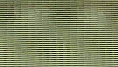 Amateur Video From July 18, 2016