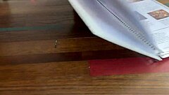 Nacho Daddy Sucks Cock And Gets Cum In Mouth With Bubble Butt