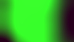 What Happens When My Neighbor's Wife Sneaks Over for a Wild Creampie and Cum in Mouth Session