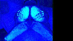 she said lay down papi and i did just that