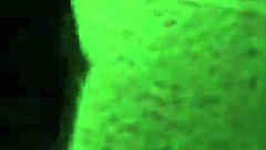 What Happens When My Neighbor's Wife Sneaks Over for a Wild Creampie and Cum in Mouth Session