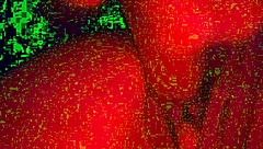 what happens when you fuck a transman's pussy face down in close-up action