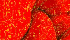 what happens when you fuck a transman's pussy face down in close-up action