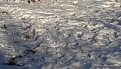 i narrate jerking off riskily in a public park near people