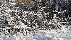 i narrate jerking off riskily in a public park near people