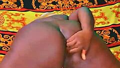 sundaydogood614 shares update 564 from oct 24 2024 with vid 20241024 160302