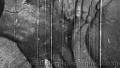 Oh Wow, Dive Into The Vintage World Where Dark Lantern Entertainment Unveils The Intriguing Tales From My Secret Life!