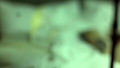 brunette slut blair gets emotional during her pov casting with hardcore sucking and pussy sex