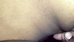 bbw rides in reverse cowgirl