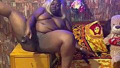 Sundaydogood614 Update 318 - Video from July 15 2024