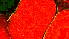 Oh man, she's sucking my dick like a total pro, this rich curvy prostitute with big tits making me lose it!