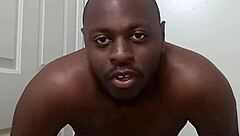 Learning Bathroom Habits From Pet Dog To Avoid Mess Around Anus Without Leaving Traces