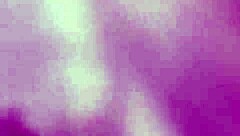 बैलेरीना