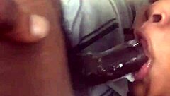 I Feel So Thrilled as This Massive Black Cock Gets Sucked by a Young Mommy