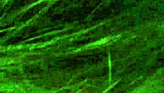 just casually suckin on that cock like no big deal