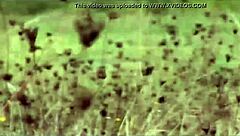 i love dressing up as andreia vargas in this french shemale escort making-of from 2007