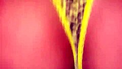 hey uber driver, i seduced you during the live stream—want my husband to film us fucking in the car?