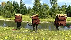 hey, what's the deal with the price of power 29?