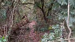 Look, the guy paid to see my big pussy in the ecological park so I went into the bushes and flashed it for him