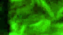 White girl with a nice ass gets blindfolded and sucks that dick 😏