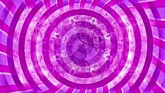 in this casual tale nub dives into intense chastity training with femdom jerk off instructions guiding every step toward pussy denial