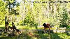 Simscristian05 takes a bold naked walk through the sheer path to the creek, flashing everything in public on Jul 16 2025