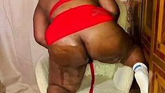 nigarchrist shares update 1385 on petal from june 11 2025