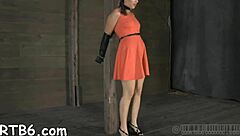 i get so turned on sharing my wild sadomasochism experiences with nasty hardcore fucking and sucking