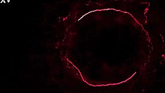 Trailer features Allison Bloom in a shower scene with anal fisting and submissive elements.