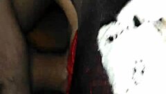 Oh yeah, my ex girlfriend in those sexy stockings takes my big cock like a whore.