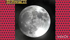 I love pounding my beautiful trans wife's tight ass in wild anal sessions