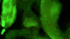 Deepthroat Lessons With Big Black Cock Blowjob And Monster Cock Deepthroat Instruction.